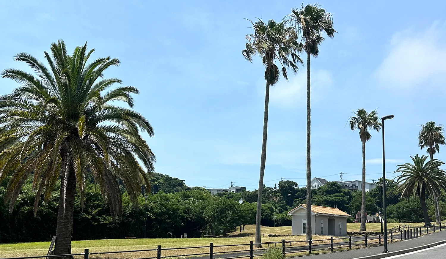 佐島の丘公園